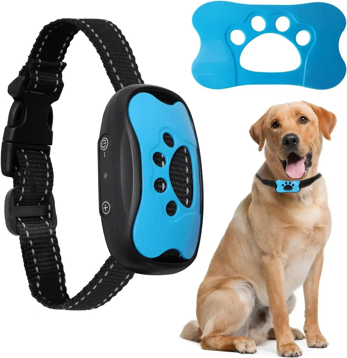 Collier anti-aboiement Doucidog bleu sans choc