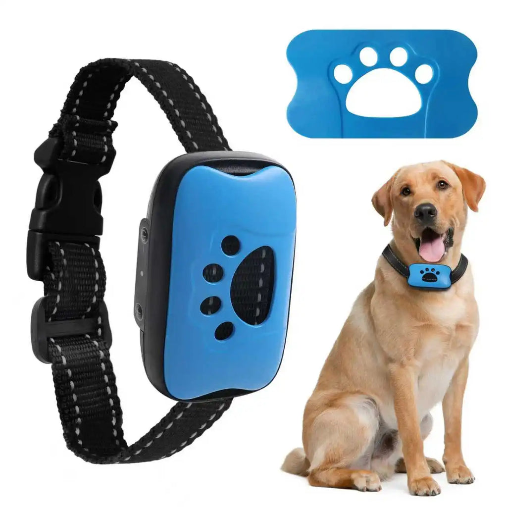 Collier anti-aboiement bleu