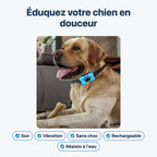 Collier anti-aboiement : son, vibration, sans choc, rechargeable, résiste à l'eau
