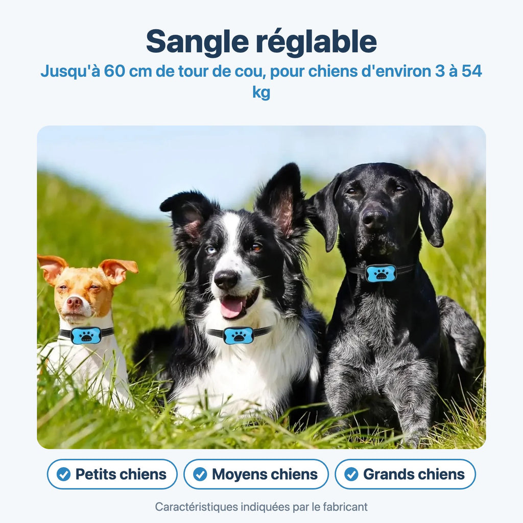 Sangle réglable pour petits, moyens et grands chiens