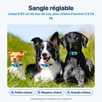 Sangle réglable pour petits, moyens et grands chiens